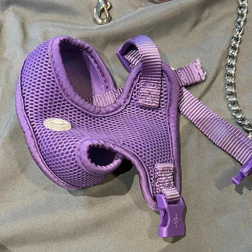 Lot of Pet Harness and Leash Set